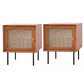 1 Door Rattan Nightstand Contemporary Night Table with 1 Shelves ,23.6" Tall