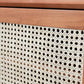 1 Door Rattan Nightstand Contemporary Night Table with 1 Shelves ,23.6" Tall