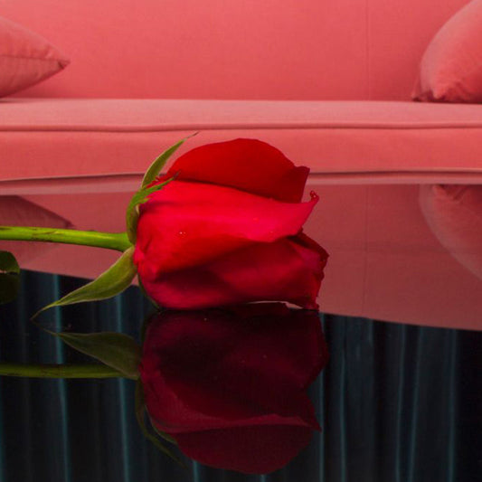 Tavolino in vetro rotondo moderno scaffale semplice incluso tavolo da cocktail - dia 32.28 "