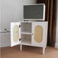 Contemporary Lower Shelf Nightstand Rattan Bedside Cabinet for Bedroom Clearhalo 'Bedroom Furniture' 'furn' 'furn_night_stand' 'Furniture' 'night_stand' 'Nightstands' 5969583
