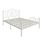 Modern Metal with Headboard with Metal Legs Camelback Open-Frame Bed
