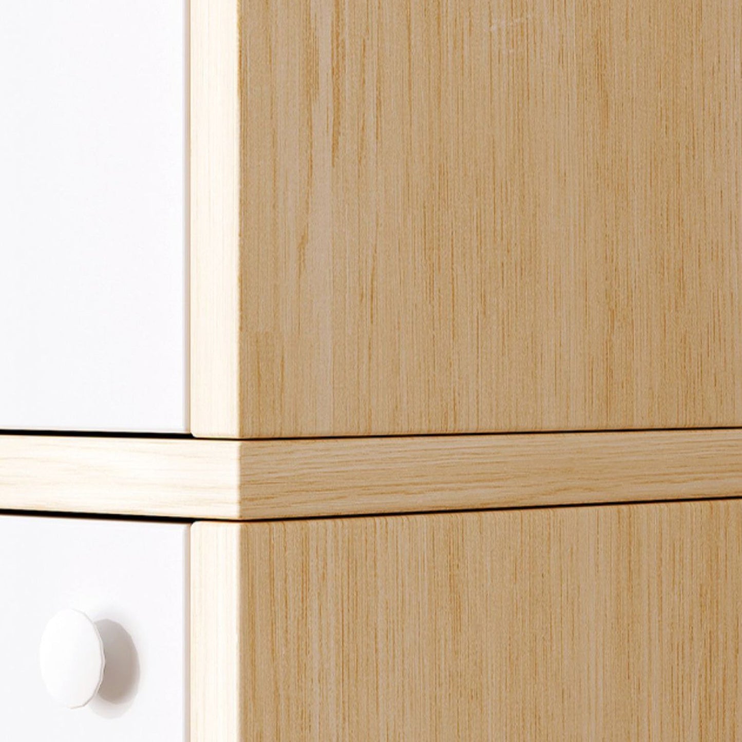 Contemporary Accent Cabinet with Doors Scratch Resistant Storage Cabinet Clearhalo 'Cabinets & Chests' 'cabinets_chests' 'furn' 'furn_cabinets_chests' 'Furniture' 'Living Room Furniture' 5980815