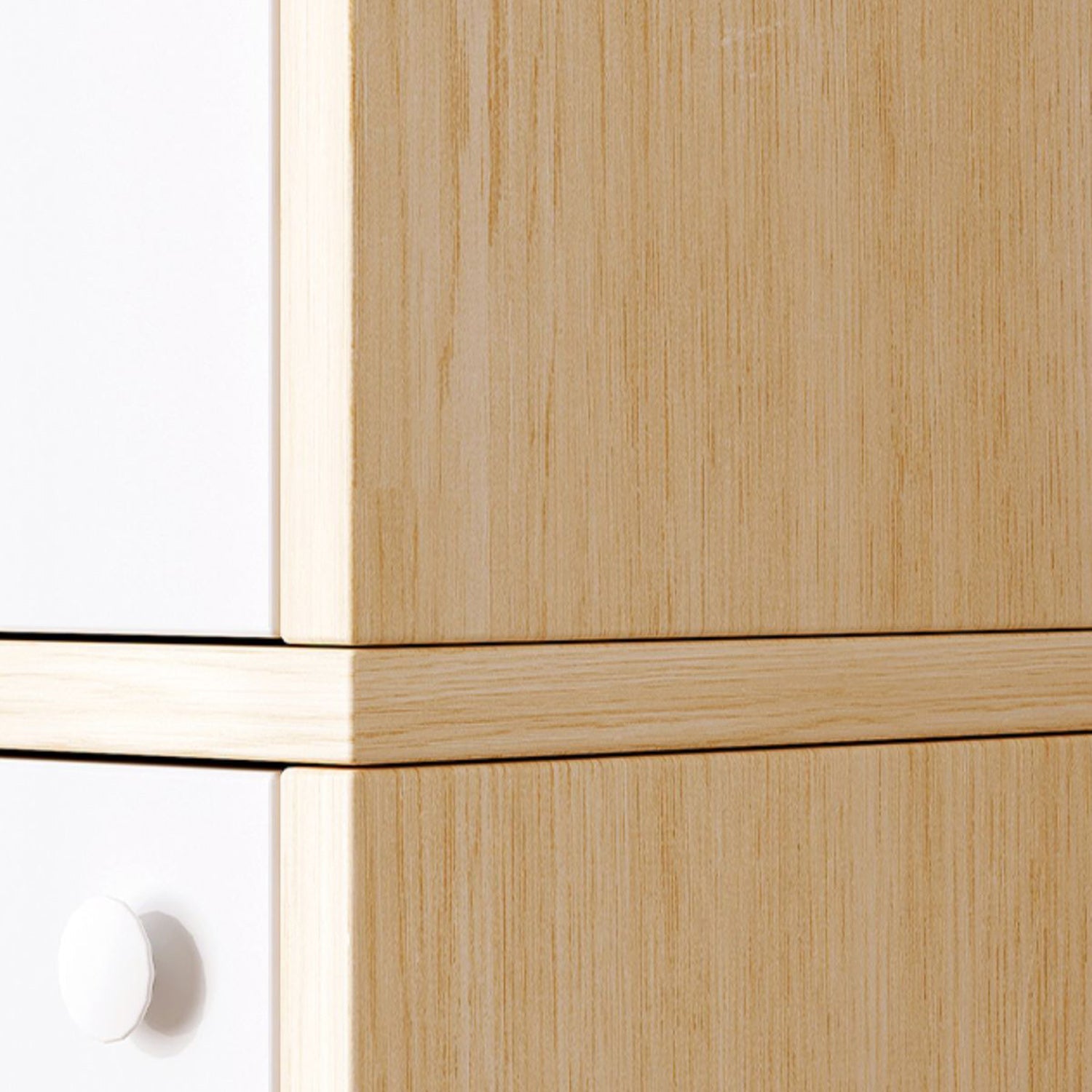 Contemporary Accent Cabinet with Doors Scratch Resistant Storage Cabinet Clearhalo 'Cabinets & Chests' 'cabinets_chests' 'furn' 'furn_cabinets_chests' 'Furniture' 'Living Room Furniture' 5980815