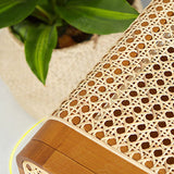 1 Door Rattan Nightstand Modern Bedside Cabinet With Legs ,23.6" Tall