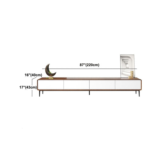 Scandinavian TV Stand Manufactured Wood Enclosed Storage TV Console