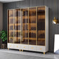 Glam Standard Book Shelf Engineered Wood Bookcase with Doors