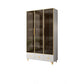 Glam Standard Book Shelf Engineered Wood Bookcase with Doors