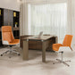 25 inch brede eigentijdse directiestoel Slide Managers stoel