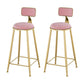 Glam 1/2/3 Pieces Metal Bar Table Set Rectangle Bar Table with High Stools for Home Pink 30"H Stools (Set of 2) Clearhalo 'Bar Furniture' 'furn' 'furn_home_bar_bar_sets' 'Furniture' 'Home Bars & Bar Sets' 'home_bar_bar_sets' 'Kitchen & Dining Furniture' 5987863