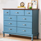 Modern Wooden Accent Chest with 9 Drawers with Cabriole Legs Chest