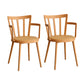 Modern Dining Chairs Arm Dining Chair with Plastic Legs for Kitchen