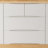 Contemporary Chest Bedroom Rubber Wood Storage Chest with Drawers