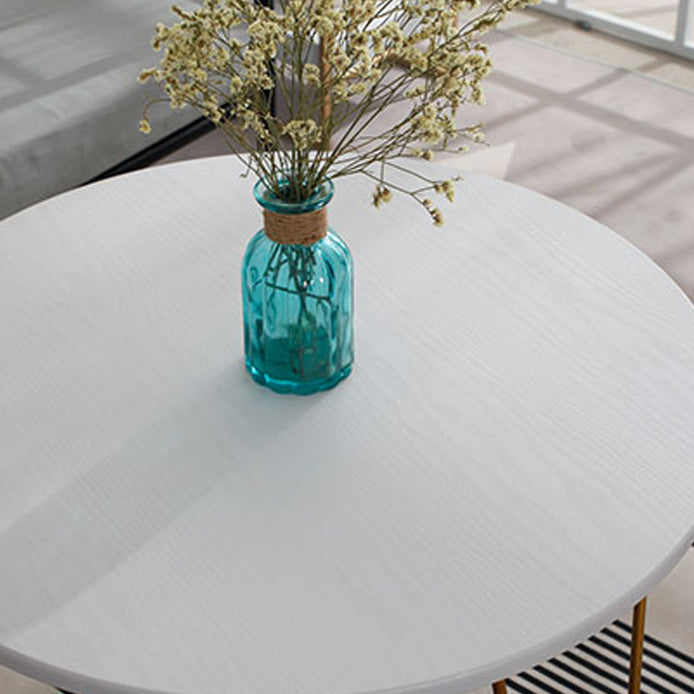 Contemporary 3 Legs Metal End Table Round Side End Table for Living Room