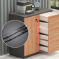 Modern Cabinet Wood Locking Drawers and Storage Lateral File Cabinet Clearhalo 'Filing Cabinets' 'filling_cabinets' 'furn' 'furn_filling_cabinets' 'Furniture' 'Office Furniture' 6020852