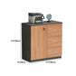 Modern Cabinet Wood Locking Drawers and Storage Lateral File Cabinet Clearhalo 'Filing Cabinets' 'filling_cabinets' 'furn' 'furn_filling_cabinets' 'Furniture' 'Office Furniture' 6020865