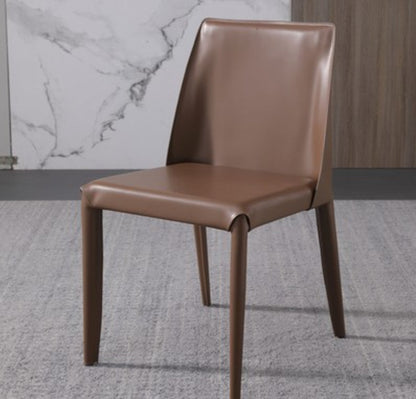 Metal Modern Home Side Chair with Leather Legs Matte Finish Dining Chair for Kitchen