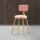 Glam Metal Barstool Round Seat Velvet Stool with Gold Legs in Matte Finish Pink 1 Piece Short Stool(18"H) Clearhalo 'Bar Furniture' 'Bar Stools' 'bar_stools' 'furn' 'furn_bar_stools' 'Furniture' 'Kitchen & Dining Furniture' 6021744