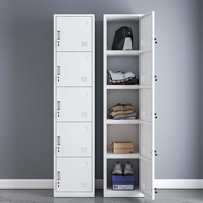 Armoire à charnière à charnière contemporaine Cabinet de garde-robe en acier pour la maison