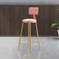Glam Metal Stool Velvet Low Back Stool with Footrest in Matte Finish Pink 1 Piece Clearhalo 'Bar Furniture' 'Bar Stools' 'bar_stools' 'furn' 'furn_bar_stools' 'Furniture' 'Kitchen & Dining Furniture' 6024325