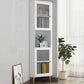 Modern Accent Cabinet with 2 Glass Doors and Storage Shelf Cabinet
