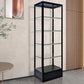 Modern Curio Cabinets Glass Display Cabinet with Locking Doors