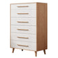 15,6-inch breedte dressoir moderne opbergkist met 4/5/6 laden
