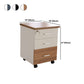 Contemporary Style Vertical Filing Cabinet Wood Filing Cabinet with Locking Storage Clearhalo 'Filing Cabinets' 'filling_cabinets' 'furn' 'furn_filling_cabinets' 'Furniture' 'Office Furniture' 6040382