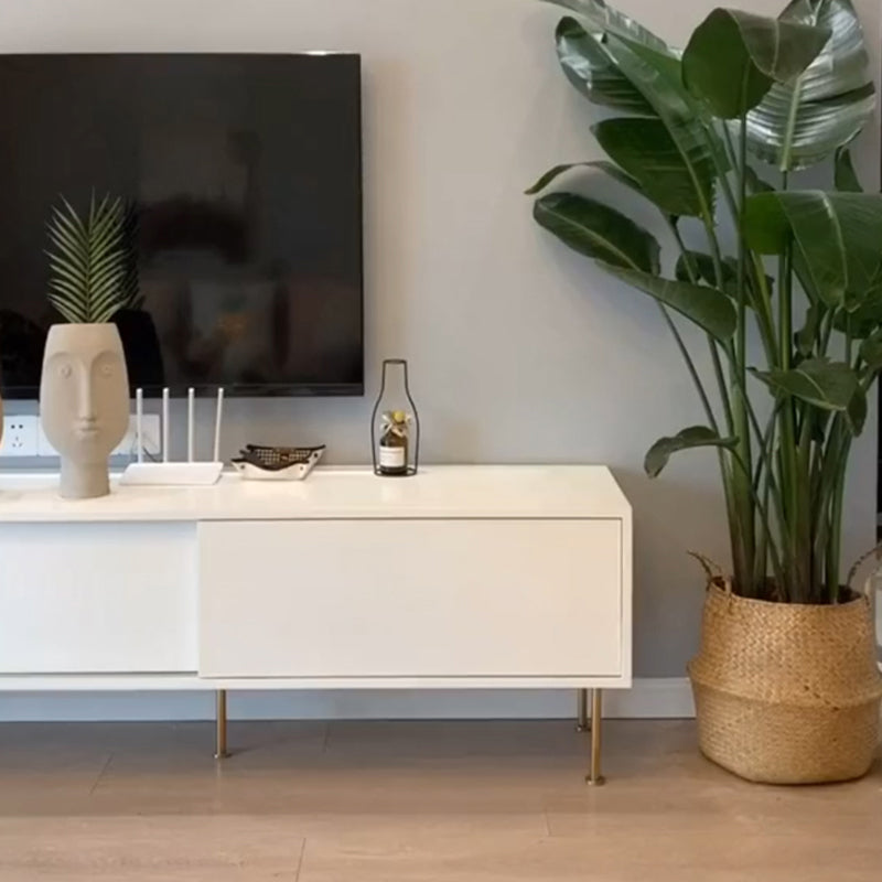 Wooden Enclosed Storage TV Stand Luxury White TV Cabinet for Home Clearhalo 'furn' 'furn_tv_stands_entertainment_centers' 'Furniture' 'Living Room Furniture' 'TV Stands & Entertainment Centers' 'TV Stands & Media Storage Furniture' 'tv_stands_entertainment_centers' 6048124