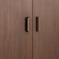 Modern Modern Side Cabinet Brown Accent Cabinet met deuren met deuren