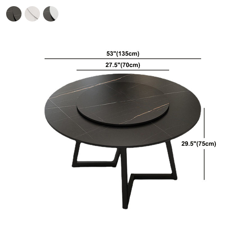 Round Sintered Stone Dining Table Modern Furniture with Double Pedestal for Home Clearhalo 'Dining Tables & Seating' 'Dining Tables' 'dining_table' 'furn' 'furn_dining_table' 'Furniture' 'Kitchen & Dining Furniture' 6056986