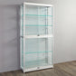 Modern Metal Curio Cabinet Locking Display Stand with Sliding Glass Doors