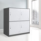 Non-Hanging Armoire Contemporary Steel Storage Cabinet for Home