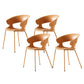 Modern Open Back Side Chair Plastic Indoor Arm Chair for Dining Room