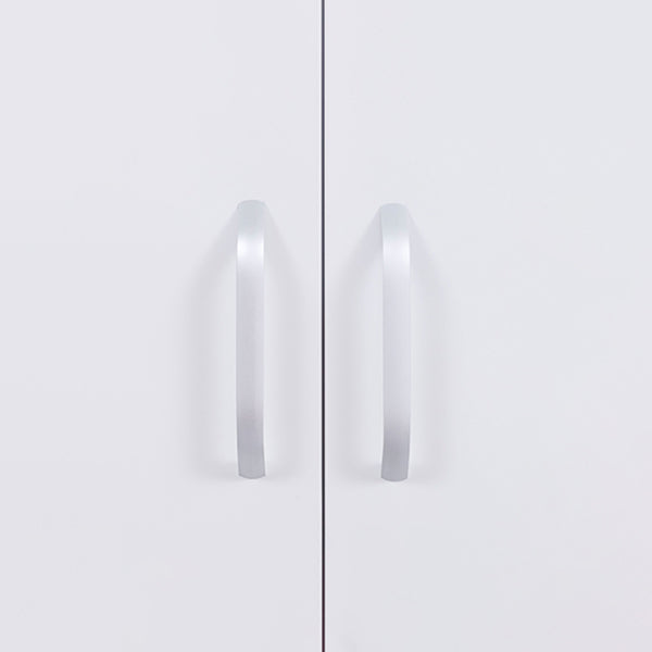 Contemporary Two Doors Wardrobe Armoire Steel Wardrobe Closet Clearhalo 'Armoires & Wardrobes' 'armoires_wardrobes' 'Bedroom Furniture' 'furn' 'furn_armoires_wardrobes' 'Furniture' 6074572