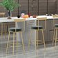 Glam Round Counter Height Stools Grey and Gold Footrest Upholstered Counter Bar Stool Clearhalo 'Bar Furniture' 'Bar Stools' 'bar_stools' 'furn' 'furn_bar_stools' 'Furniture' 'Kitchen & Dining Furniture' 6076268