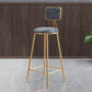 Glam Armless Backrest Counter Stool Iron Dining Room Bar Stool with Cushion