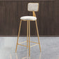 Glam Armless Backrest Counter Stool Iron Dining Room Bar Stool with Cushion