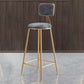 Glam Armless Backrest Counter Stool Iron Dining Room Bar Stool with Cushion