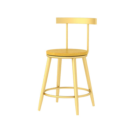 Modern Armless Backrest Counter Stool Iron Bar Stool with Wooden Seat and Pedal