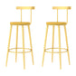 Modern Armless Backrest Counter Stool Iron Bar Stool with Wooden Seat and Pedal