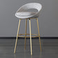 Contemporary Armless Backrest Counter Stool Iron Bar Stool with Cushion and Footrest