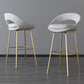 Contemporary Armless Backrest Counter Stool Iron Bar Stool with Cushion and Footrest