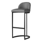 Glam Backrest Armless Counter Stool Iron Bar Stool with Pedal and Cushion