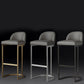 Glam Backrest Armless Counter Stool Iron Bar Stool with Pedal and Cushion