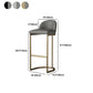 Glam Backrest Armless Counter Stool Iron Bar Stool with Pedal and Cushion