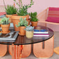 Contemporary Round Coffee Table with Glass Top and Acrylic Cross Base Clearhalo 'Coffee & Accent Tables' 'Coffee Tables' 'coffee_tables' 'furn' 'furn_coffee_tables' 'Furniture' 'Living Room Furniture' 6084352