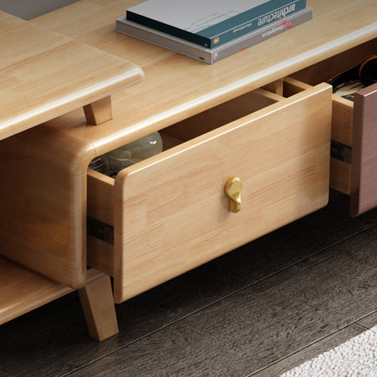 Contemporary Wood TV Stand Enclosed Storage TV Media Stand for Living Room Clearhalo 'furn' 'furn_tv_stands_entertainment_centers' 'Furniture' 'Living Room Furniture' 'TV Stands & Entertainment Centers' 'TV Stands & Media Storage Furniture' 'tv_stands_entertainment_centers' 6090351