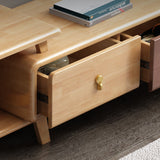 Contemporary Wood TV Stand Enclosed Storage TV Media Stand for Living Room Clearhalo 'furn' 'furn_tv_stands_entertainment_centers' 'Furniture' 'Living Room Furniture' 'TV Stands & Entertainment Centers' 'TV Stands & Media Storage Furniture' 'tv_stands_entertainment_centers' 6090351