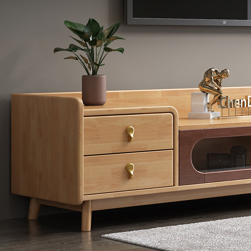Contemporary Wood TV Stand Enclosed Storage TV Media Stand for Living Room Clearhalo 'furn' 'furn_tv_stands_entertainment_centers' 'Furniture' 'Living Room Furniture' 'TV Stands & Entertainment Centers' 'TV Stands & Media Storage Furniture' 'tv_stands_entertainment_centers' 6090352