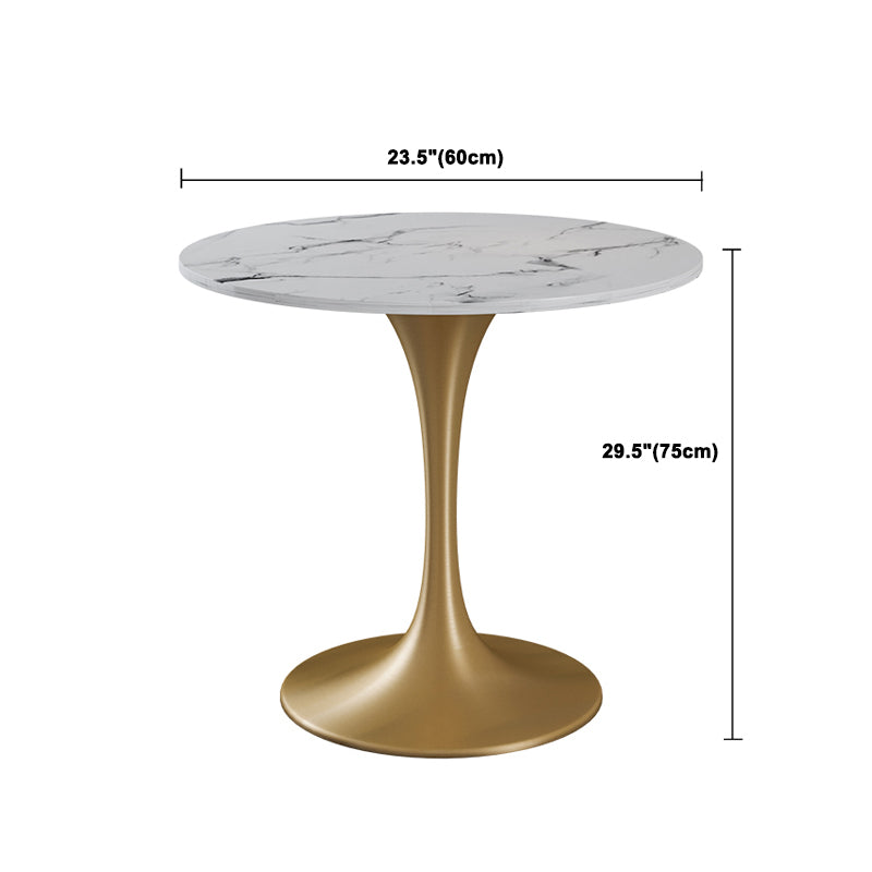 Glam Style Sintered Stone Dining Set Round 1/4/5 Pieces Dining Table Set for Home Use